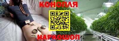 apvp Ноябрьск