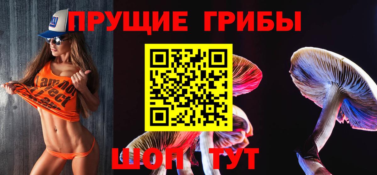 где купить наркотик  Галлюциногенные грибы мицелий  Вход с VPN  Заводоуковск 